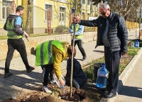 Благодарение на дарители бяха засадени над 50 дръвчета в Бяла черква