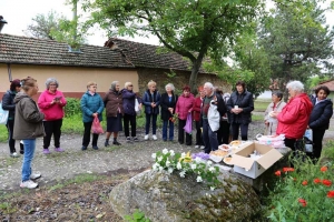 Възстановиха ритуала &bdquo;Зелен синор&ldquo; в Горна Липница